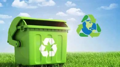 Essential Recycling Transforming Waste into Valuable Resources 2024