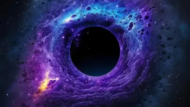 Black Holes The Secret World of the Cosmic Vacuum 2024